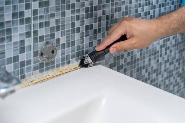 Best Residential Mold Removal  in Goldsboro, NC