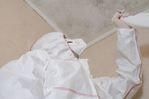 Best Toxic Mold Removal  in Goldsboro, NC