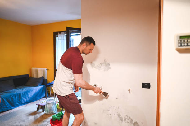 Best Same-Day Mold Removal  in Goldsboro, NC