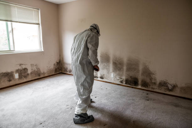 Water Damage Restoration in Goldsboro, NC