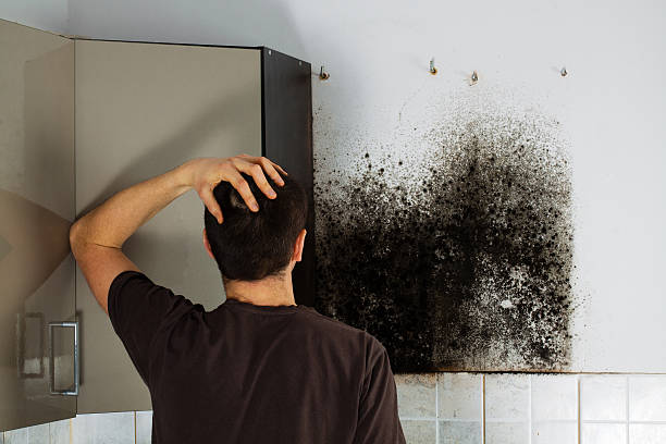 Best Office Mold Removal Services  in Goldsboro, NC